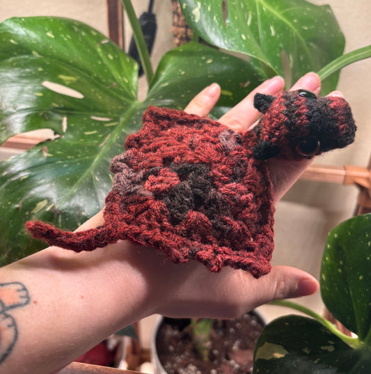 Baby Pocket Dragon “Ember”