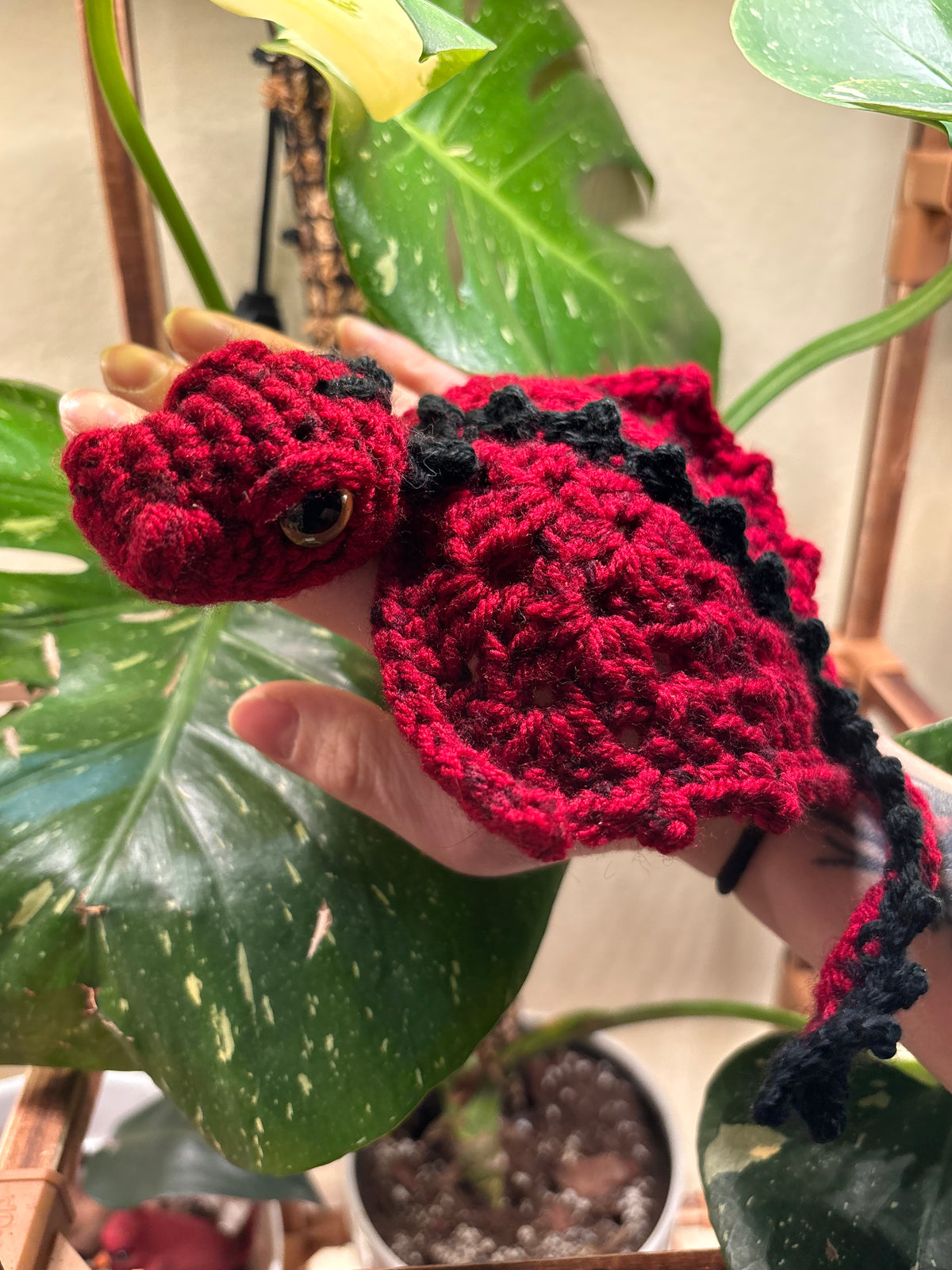 Adult Pocket Dragon “Cinder”