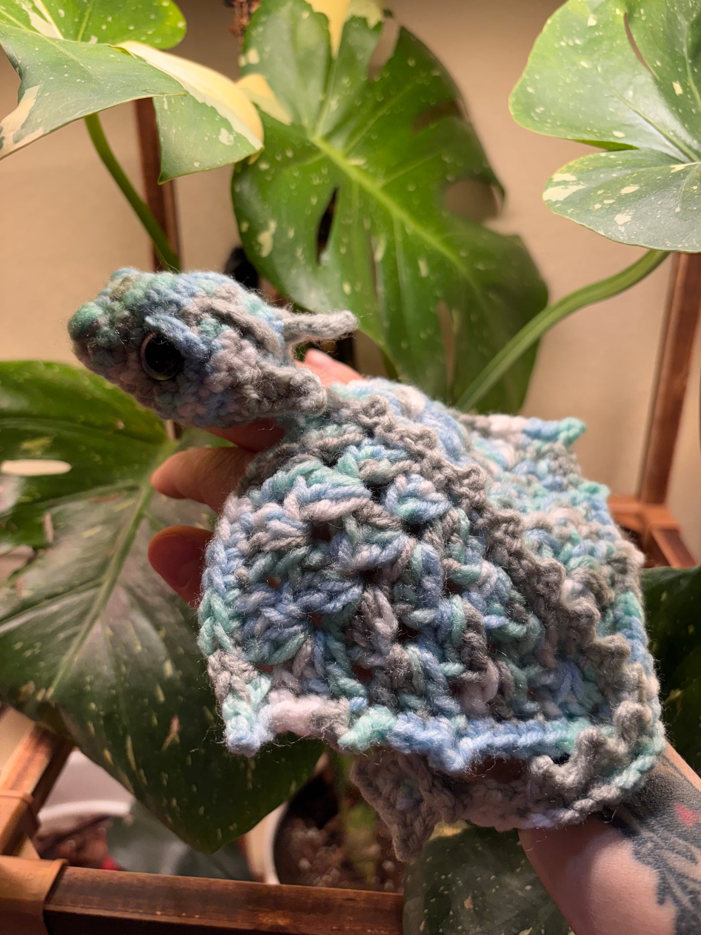 Adult Pocket Dragon “Flurry”