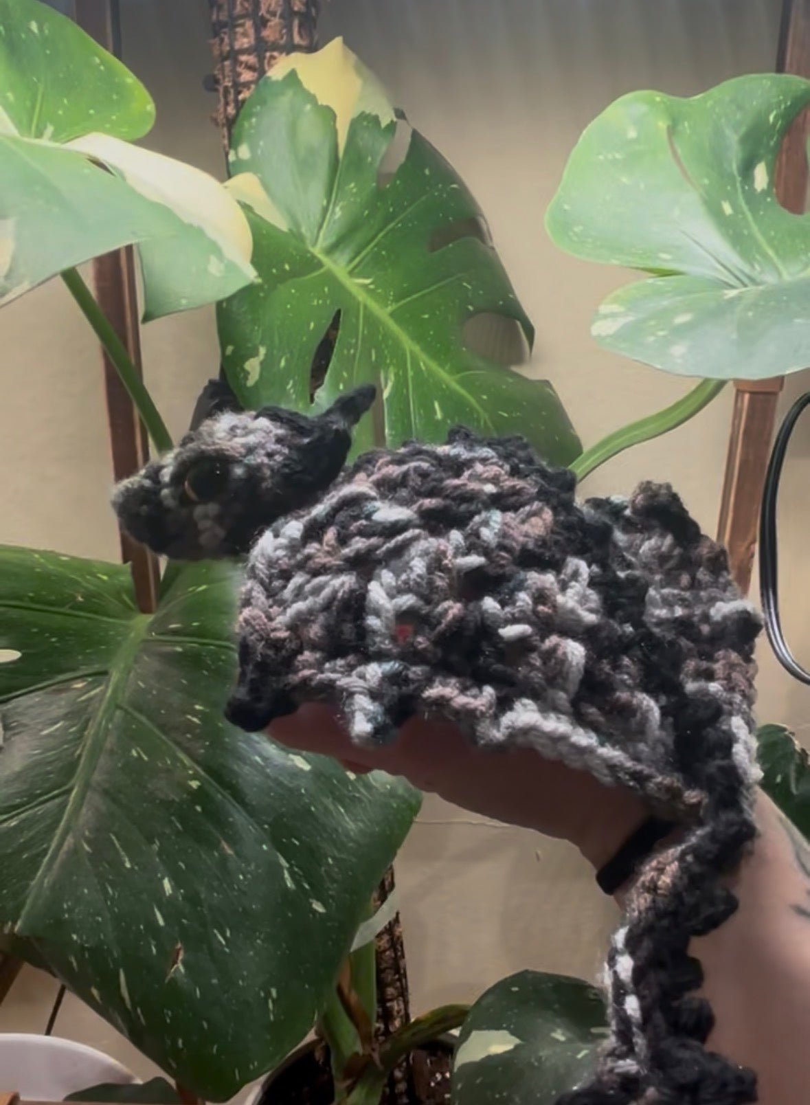 Adult Pocket Dragon “Canyon”