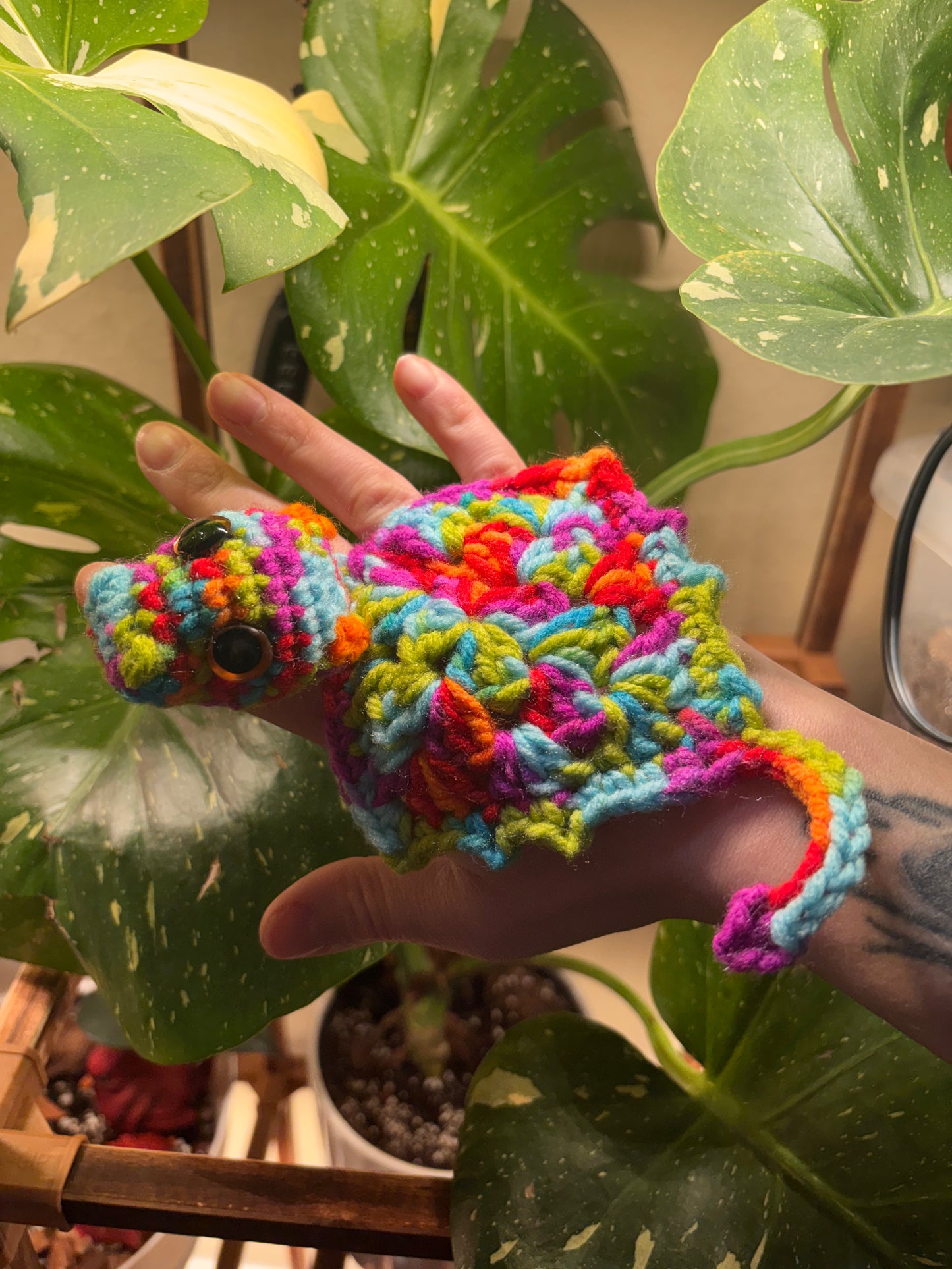 Baby Pocket Dragon “Sprinkles”