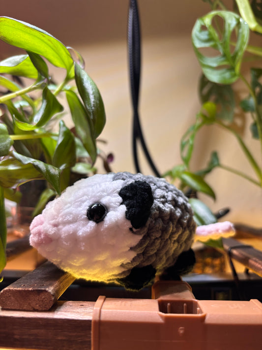 “Oakley” Teeny Tiny Opossum Plush